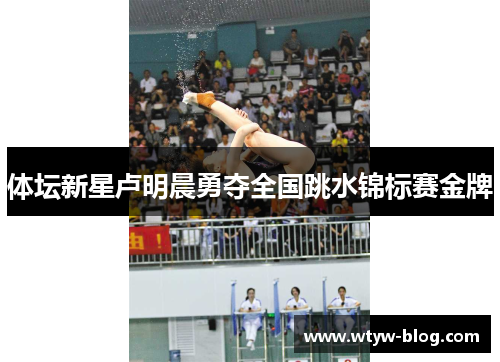 体坛新星卢明晨勇夺全国跳水锦标赛金牌